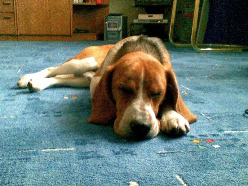 07042008(002).jpg