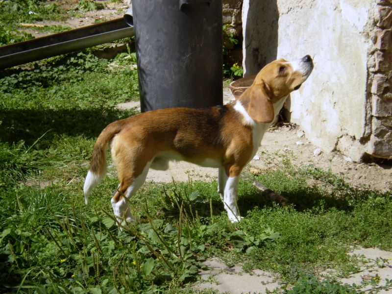 P8290005.JPG