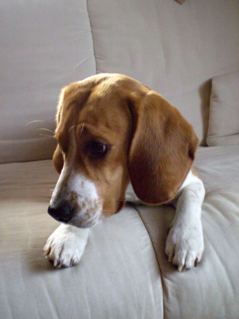 P1170070.JPG